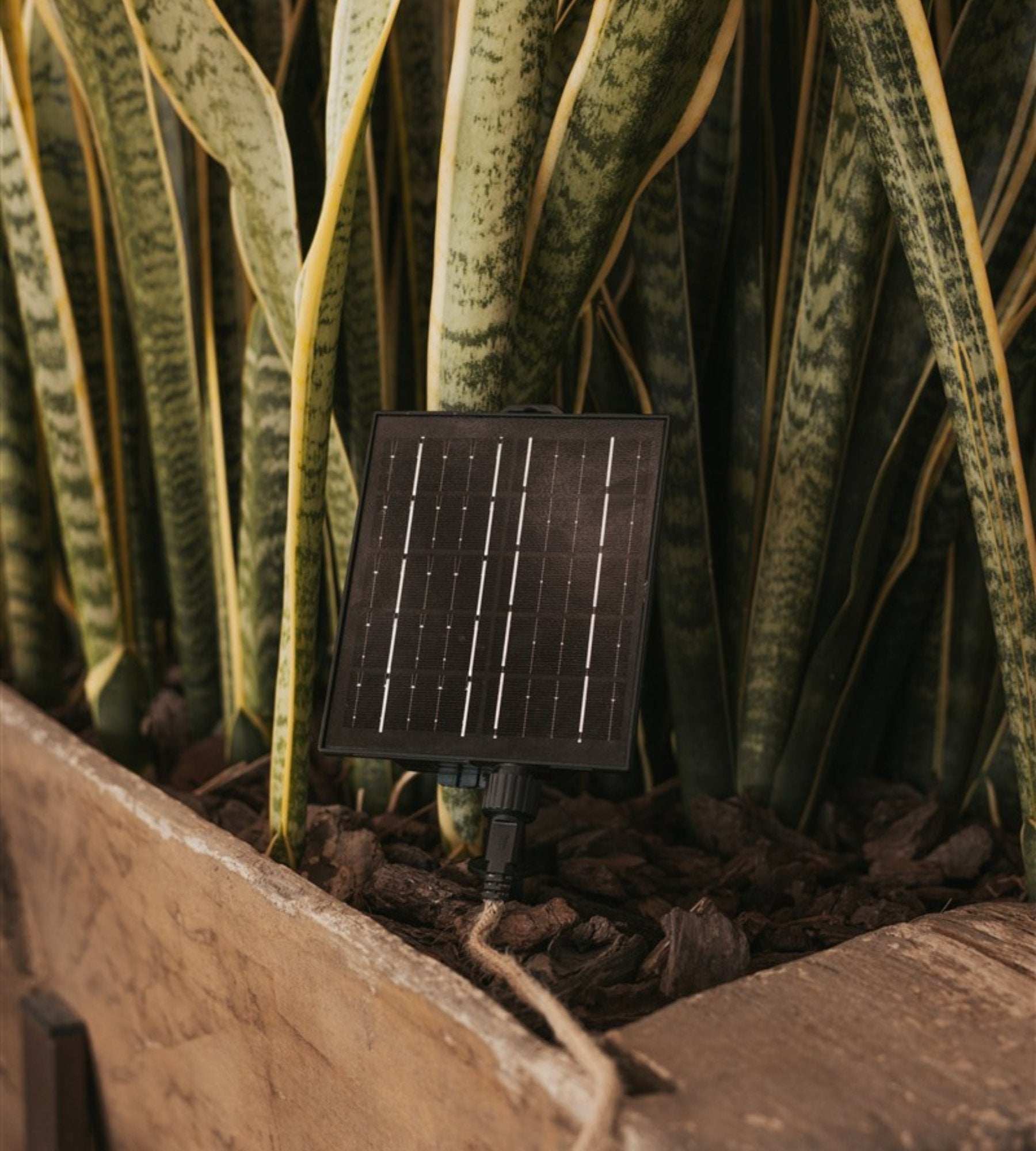 Guirlande solaire extérieur MARO - Design nature - 10 lampes