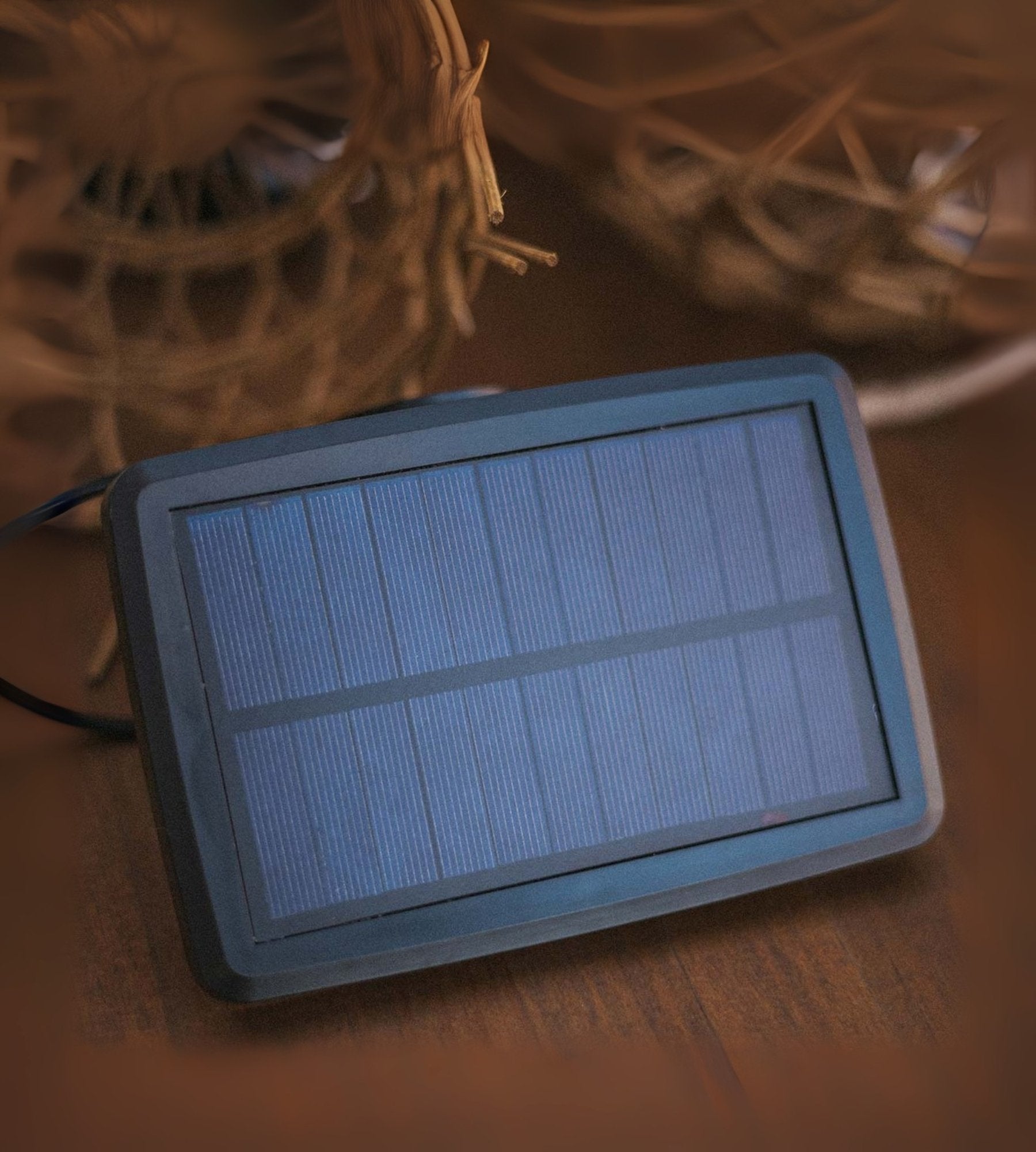 Guirlande lumineuse solaire ALMA - Design nature - 10 lampes