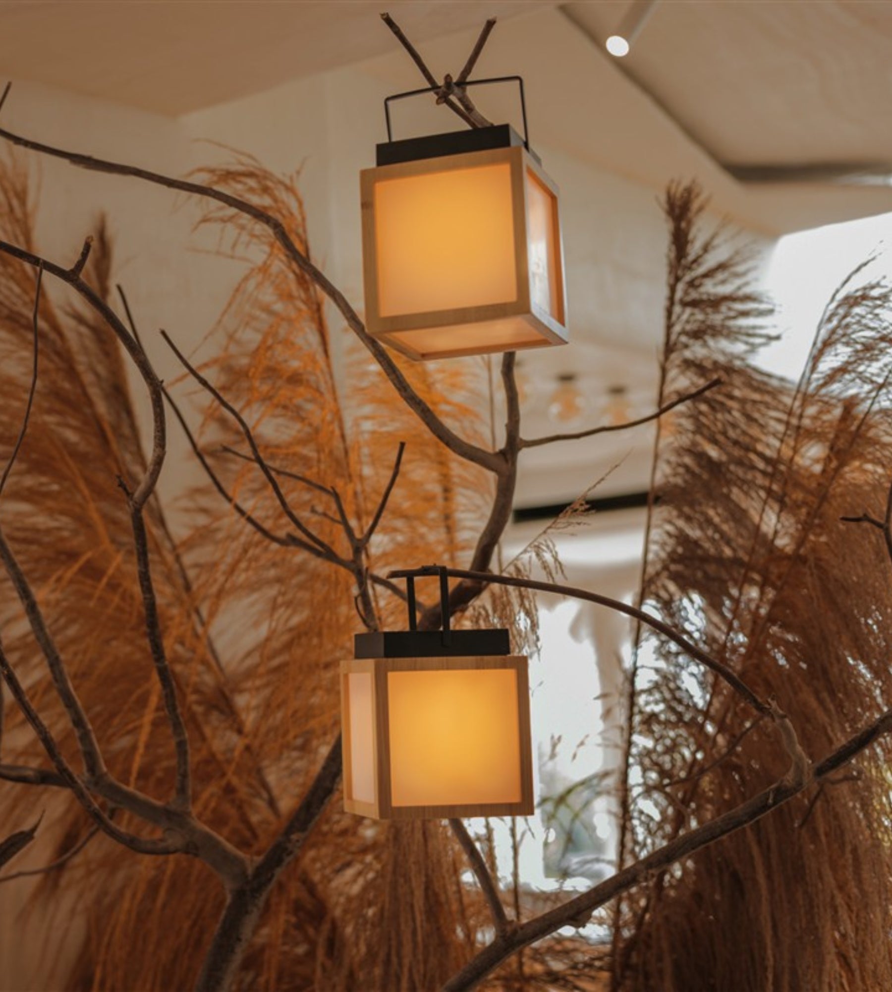 VEGA portable cordless lantern - Cube format - Rechargeable via USB and solar - Lumihome