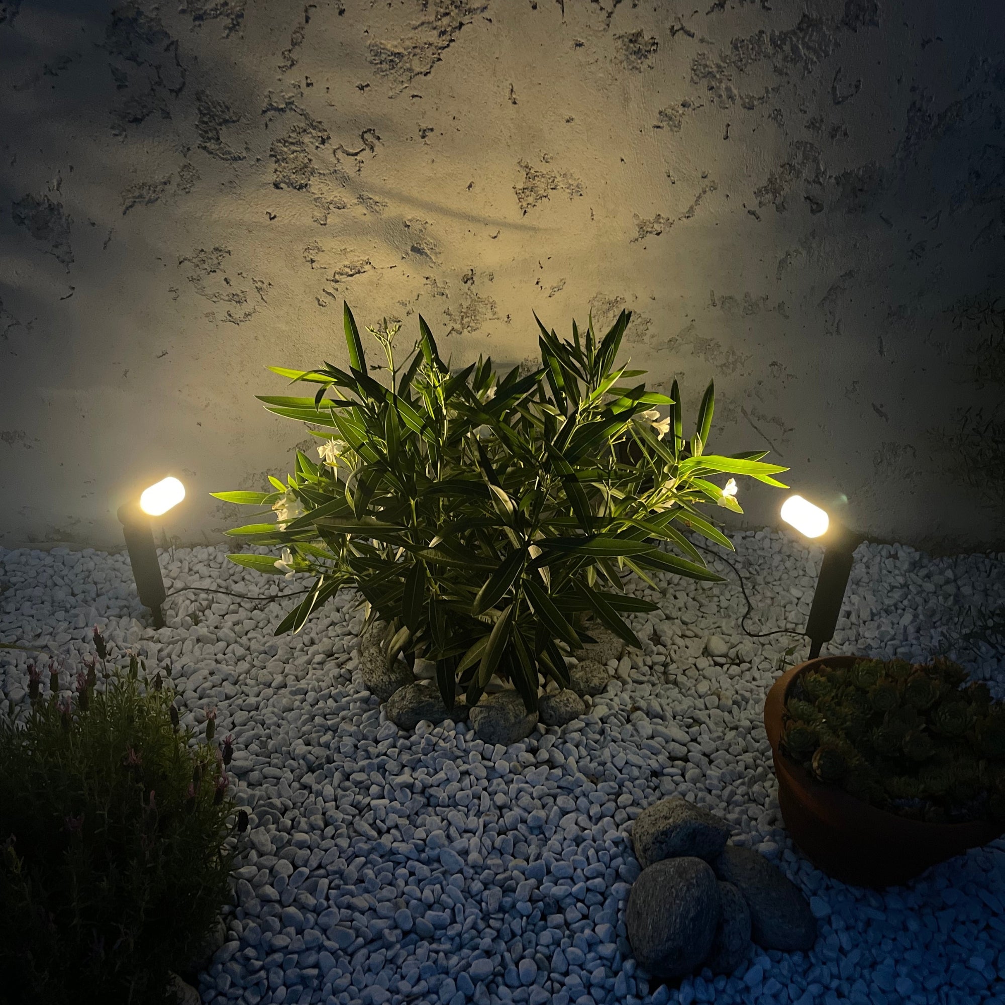 Kit de 2 projectores solares RUBY - Lumihome