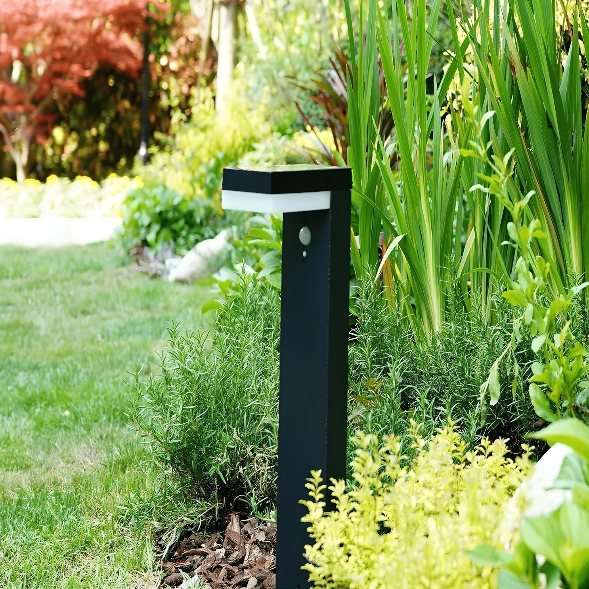 LP - Não tocar - Lumihome