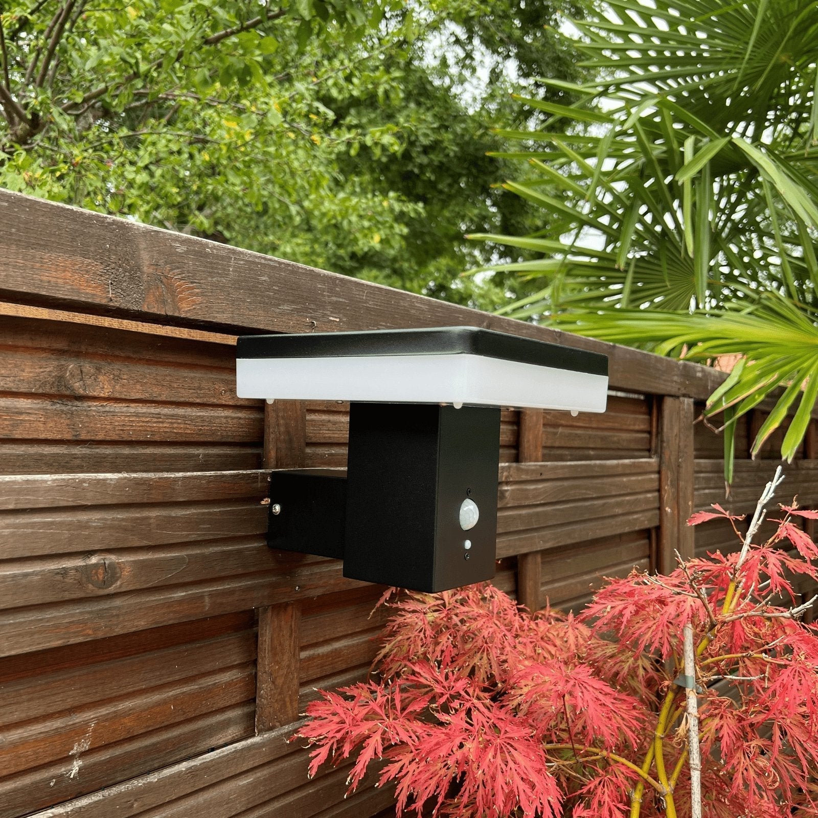 LP - Não tocar - Lumihome