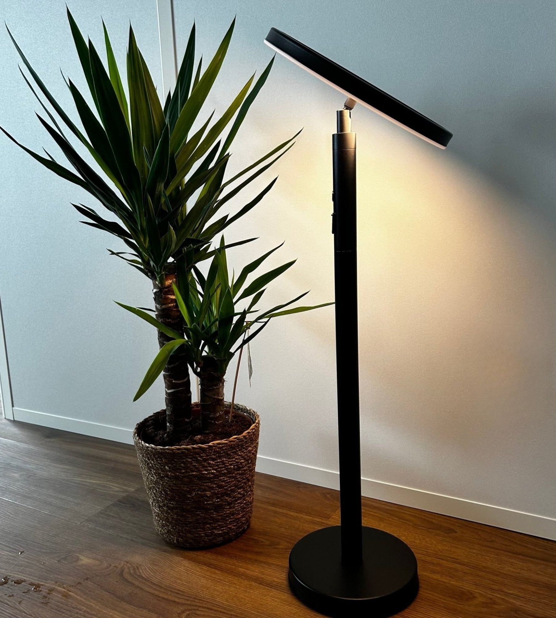 Lampe Solaire à poser JAZZ - Lumihome