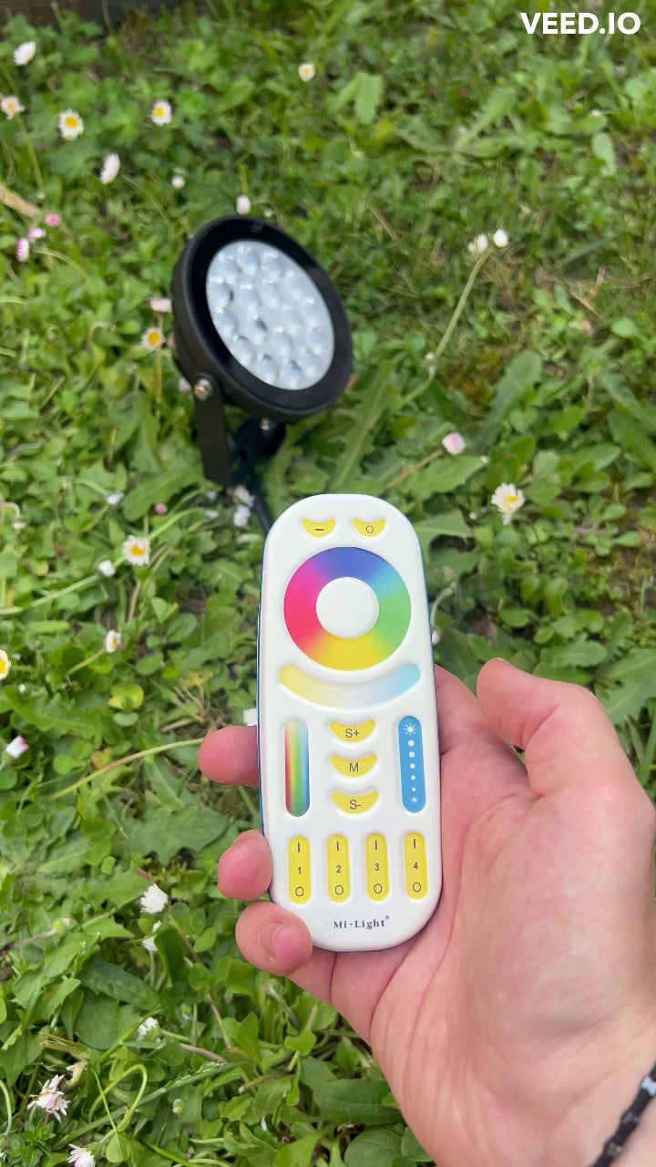 Spot et télécommande couleur