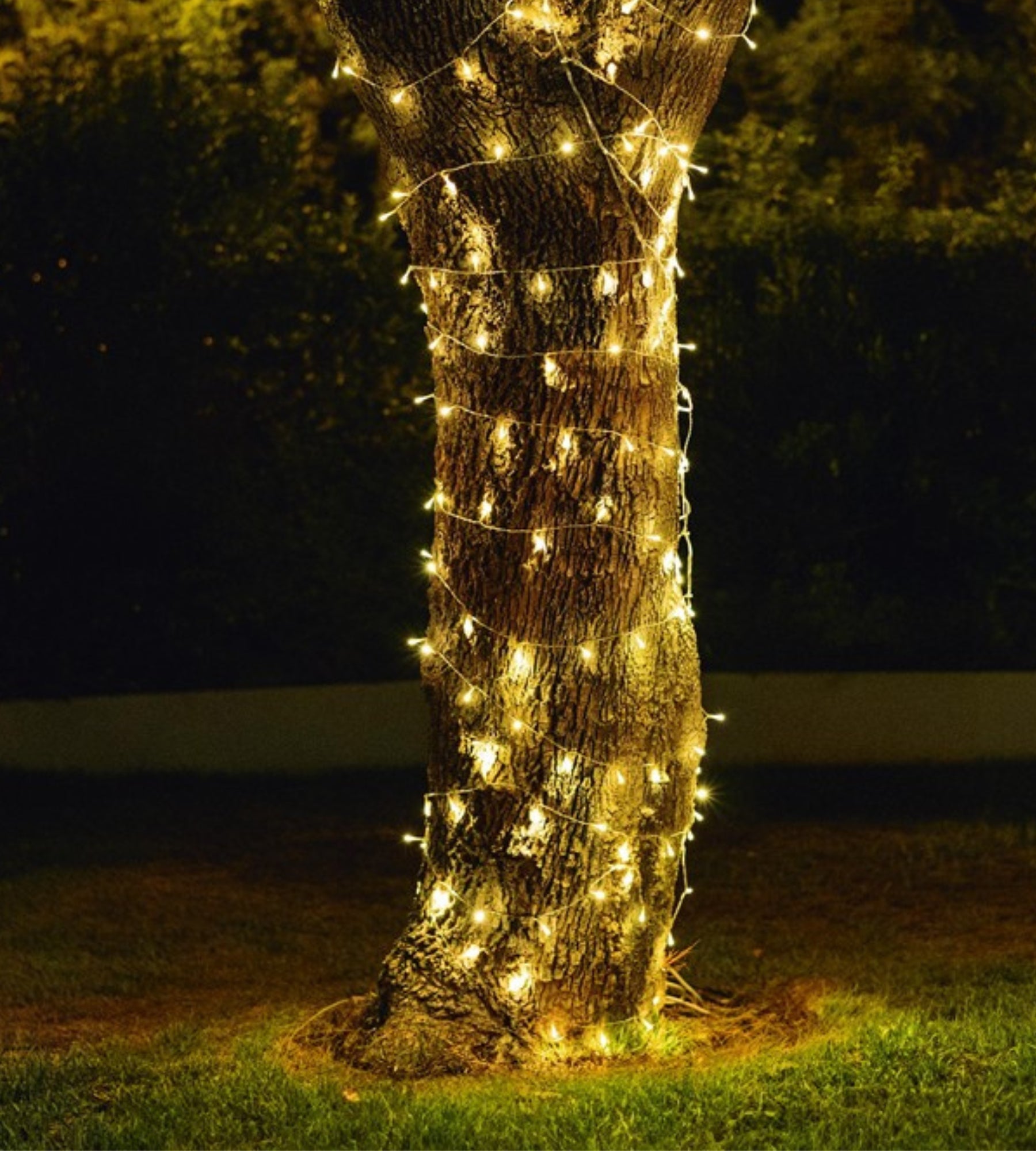 Ghirlanda di luci solari LUCEO - Lunghezza di 10 metri - 100 luci da 1 lumen