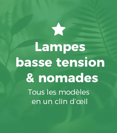 Éclairage basse tension & nomade