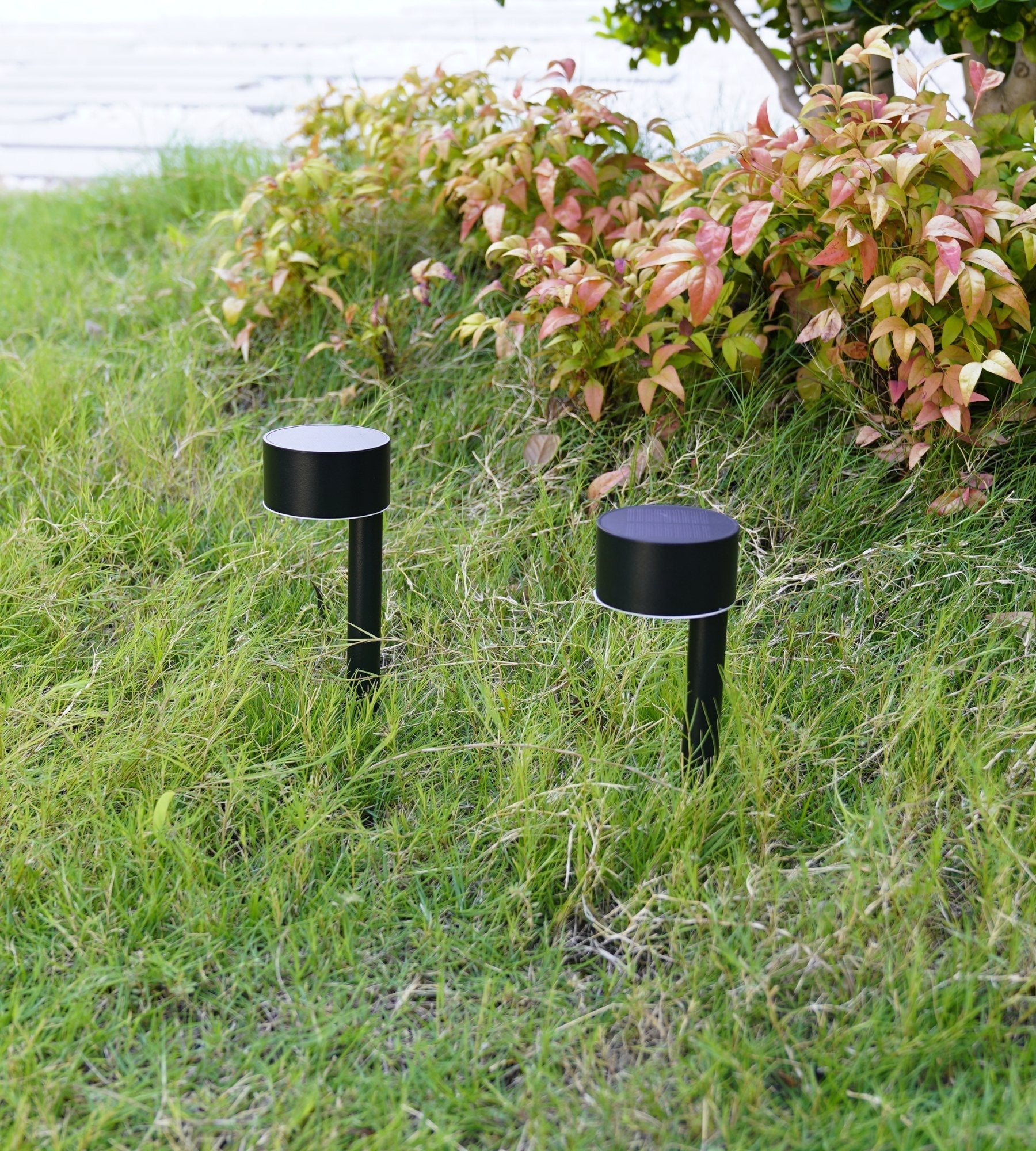 Pack x2 QUEEN Baliza Solar Led - Para plantar - Altura 30cm - 100 lumens - Lumihome