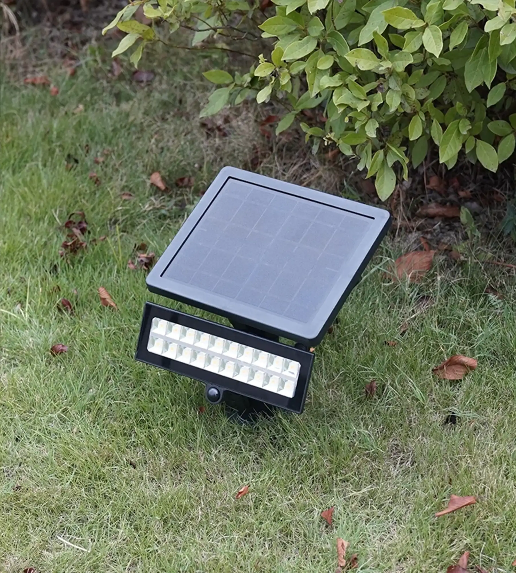 Floodlight view 3